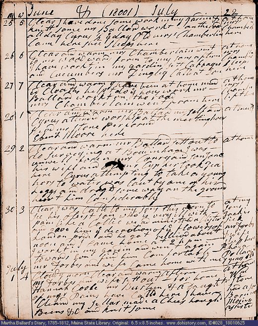 Jun. 25-Jul. 1, 1801 diary page (image, 143K). Choose 'View Text' (at left) for faster download.