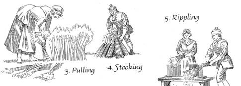 Making Linen from Flax, piece 2