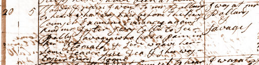 Diary entry for Nov. 20, 1788. View Text (link at top) to see text version.